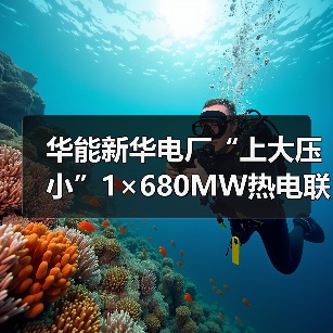 华能新华电厂“上大压小”1×680MW热电联产项目前期技术咨询服务招标（图2）