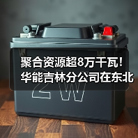聚合资源超8万千瓦！华能吉林分公司在东北