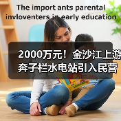 2000万元!金沙江上游奔子栏水电站引入民营企业并组建合资公司项目征集投资合作方(图4) 2000万元!金沙江上游奔子栏水电站引入民营企业并组建合资公司项目征集投资合作方(图4)