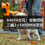 84020万元！安徽铜陵二期2×1000