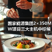 国家能源集团2×350MW项目三大主机中标候选人公示(图4) 国家能源集团2×350MW项目三大主机中标候选人公示(图4)