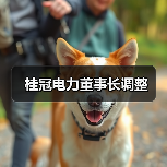 桂冠电力董事长调整（图4）
