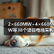 2×660MW+4×660MW等38个项目电缆采购中标公示(图2) 2×660MW+4×660MW等38个项目电缆采购中标公示(图2)