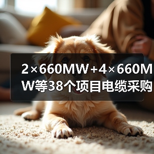 2×660MW+4×660MW等38个项