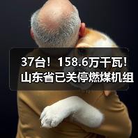 37台！158.6万千瓦！山东省已关停燃煤机组名单公示（图1）