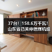 37台！158.6万千瓦！山东省已关停燃煤机组名单公示（图4）