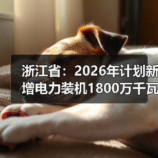 浙江省:2026年计划新增电力装机1800万千瓦(图4) 浙江省:2026年计划新增电力装机1800万千瓦(图4)