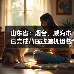 山东省:烟台、威海市已完成背压改造机组名单的公示(图4) 山东省:烟台、威海市已完成背压改造机组名单的公示(图4)