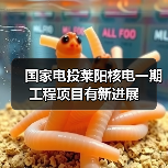 国家电投莱阳核电一期工程项目有新进展（图2）