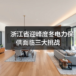 浙江省迎峰度冬电力保供面临三大挑战(图3) 浙江省迎峰度冬电力保供面临三大挑战(图3)