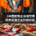 《中国发电企业与世界同类能源企业对标分析报告2025》发布,五大发电排名如何?(图3) 《中国发电企业与世界同类能源企业对标分析报告2025》发布,五大发电排名如何?(图3)