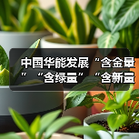 中国华能发展“含金量”“含绿量”“含新量”显著提升——“十四五”发展综述之活力奔涌篇(图4) 中国华能发展“含金量”“含绿量”“含新量”显著提升——“十四五”发展综述之活力奔涌篇(图4)