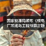 国家能源局颁布《核电厂常规岛工程预算定额(2025年版)》(图2) 国家能源局颁布《核电厂常规岛工程预算定额(2025年版)》(图2)