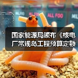 国家能源局颁布《核电厂常规岛工程预算定额