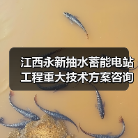 江西永新抽水蓄能电站工程重大技术方案咨询服务中标公示（图3）