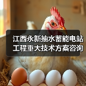 江西永新抽水蓄能电站工程重大技术方案咨询服务中标公示（图2）
