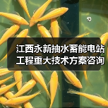江西永新抽水蓄能电站工程重大技术方案咨询