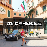 煤价有滞涨回落风险(图2) 煤价有滞涨回落风险(图2)