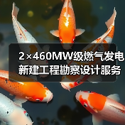 2×460MW级燃气发电新建工程勘察设计服务中标公示（图3）