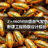 2×460MW级燃气发电新建工程勘察设计服务中标公示（图2）