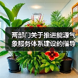 两部门关于推进能源气象服务体系建设的指导