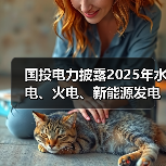 国投电力披露2025年水电、火电、新能源