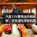 汽车12V蓄电池价格揭秘:市场波动背后的真相(图4) 汽车12V蓄电池价格揭秘:市场波动背后的真相(图4)