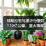 特斯拉智驾累计行驶超110亿公里，重大事故率仅为行业平均1/8（图4）
