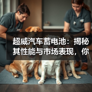 超威汽车蓄电池：揭秘其性能与市场表现，你了解多少？（图4）