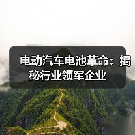 电动汽车电池革命:揭秘行业领军企业(图2) 电动汽车电池革命:揭秘行业领军企业(图2)