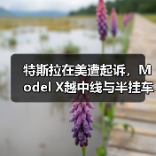 特斯拉在美遭起诉，Model X越中线与半挂车相撞致4人死亡（图2）