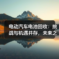 电动汽车电池回收:挑战与机遇并存,未来之路如何走?(图2) 电动汽车电池回收:挑战与机遇并存,未来之路如何走?(图2)