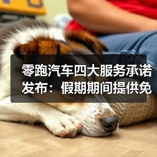 零跑汽车四大服务承诺发布:假期期间提供免费全场景道路救援(图4) 零跑汽车四大服务承诺发布:假期期间提供免费全场景道路救援(图4)