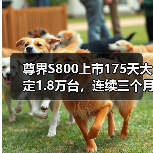 尊界S800上市175天大定1.8万台,连续三个月豪华车销量第一(图3) 尊界S800上市175天大定1.8万台,连续三个月豪华车销量第一(图3)