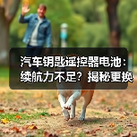 汽车钥匙遥控器电池:续航力不足?揭秘更换指南与保养秘籍(图3) 汽车钥匙遥控器电池:续航力不足?揭秘更换指南与保养秘籍(图3)
