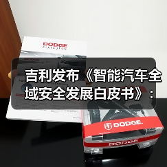吉利发布《智能汽车全域安全发展白皮书》:覆盖九大安全系统(图2) 吉利发布《智能汽车全域安全发展白皮书》:覆盖九大安全系统(图2)