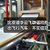 比亚迪李云飞辟谣将推出飞行汽车：不实信息，没有此类计划（图2）
