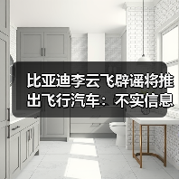 比亚迪李云飞辟谣将推出飞行汽车：不实信息，没有此类计划（图3）