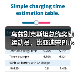 乌兹别克斯坦总统奖励运动员，比亚迪宋Plus成礼物（图2）