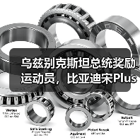 乌兹别克斯坦总统奖励运动员，比亚迪宋Pl