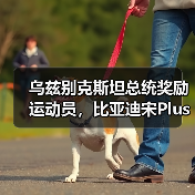 乌兹别克斯坦总统奖励运动员，比亚迪宋Plus成礼物（图3）