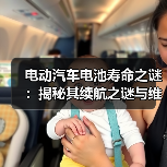 电动汽车电池寿命之谜:揭秘其续航之谜与维护之道(图4) 电动汽车电池寿命之谜:揭秘其续航之谜与维护之道(图4)