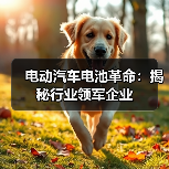 电动汽车电池革命：揭秘行业领军企业