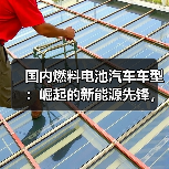国内燃料电池汽车车型：崛起的新能源先锋，未来之路何在？（图3）
