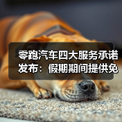 零跑汽车四大服务承诺发布:假期期间提供免费全场景道路救援(图3) 零跑汽车四大服务承诺发布:假期期间提供免费全场景道路救援(图3)