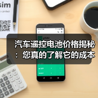 汽车遥控电池价格揭秘:您真的了解它的成本吗?(图4) 汽车遥控电池价格揭秘:您真的了解它的成本吗?(图4)