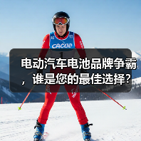 电动汽车电池品牌争霸,谁是您的最佳选择?(2025年最新排行榜揭晓)(图2) 电动汽车电池品牌争霸,谁是您的最佳选择?(2025年最新排行榜揭晓)(图2)