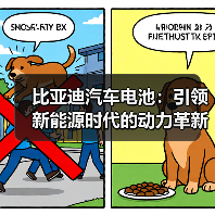 比亚迪汽车电池:引领新能源时代的动力革新(图2) 比亚迪汽车电池:引领新能源时代的动力革新(图2)