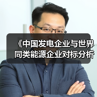 《中国发电企业与世界同类能源企业对标分析