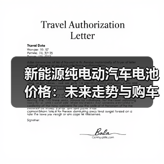 新能源纯电动汽车电池价格：未来走势与购车指南（图4）